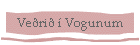 a er yfirleitt besta veri  Vogunum
